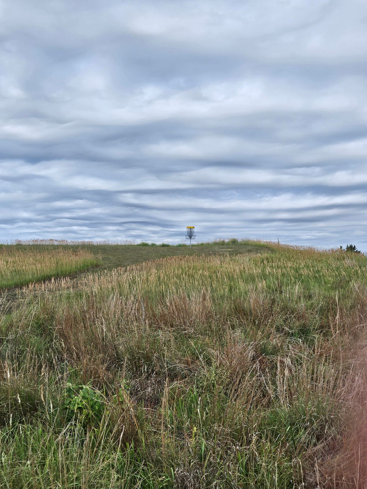 A look at Hole 6's basket with Mother Nature doing her thang in the background.