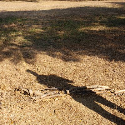 Hole 7 from the teepad