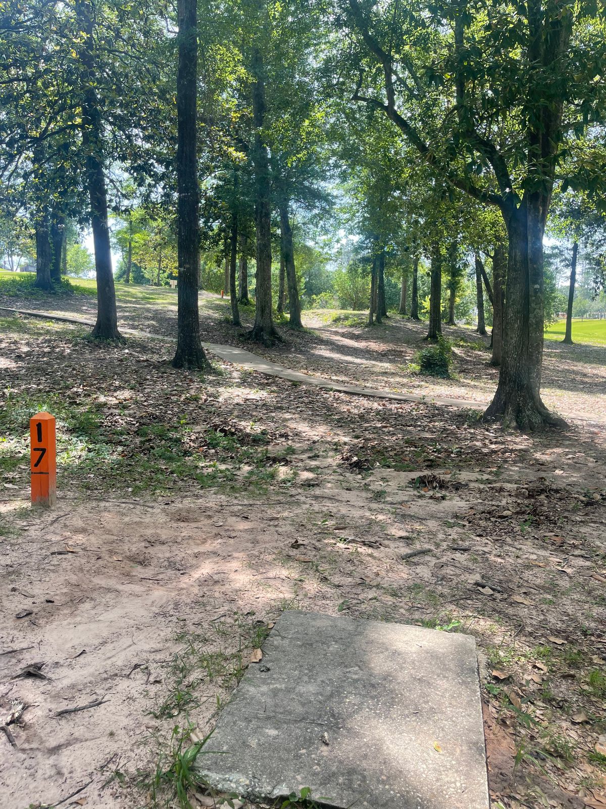 Hole 17