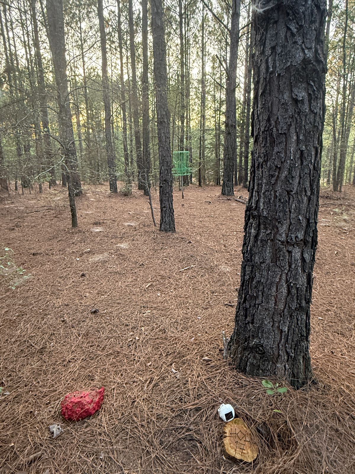 Hole 17 - Red