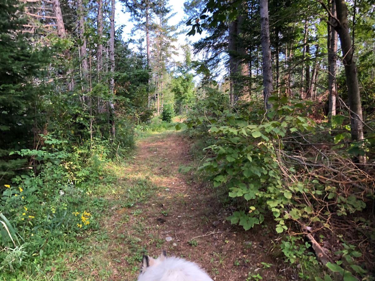 Pathway to 8-17