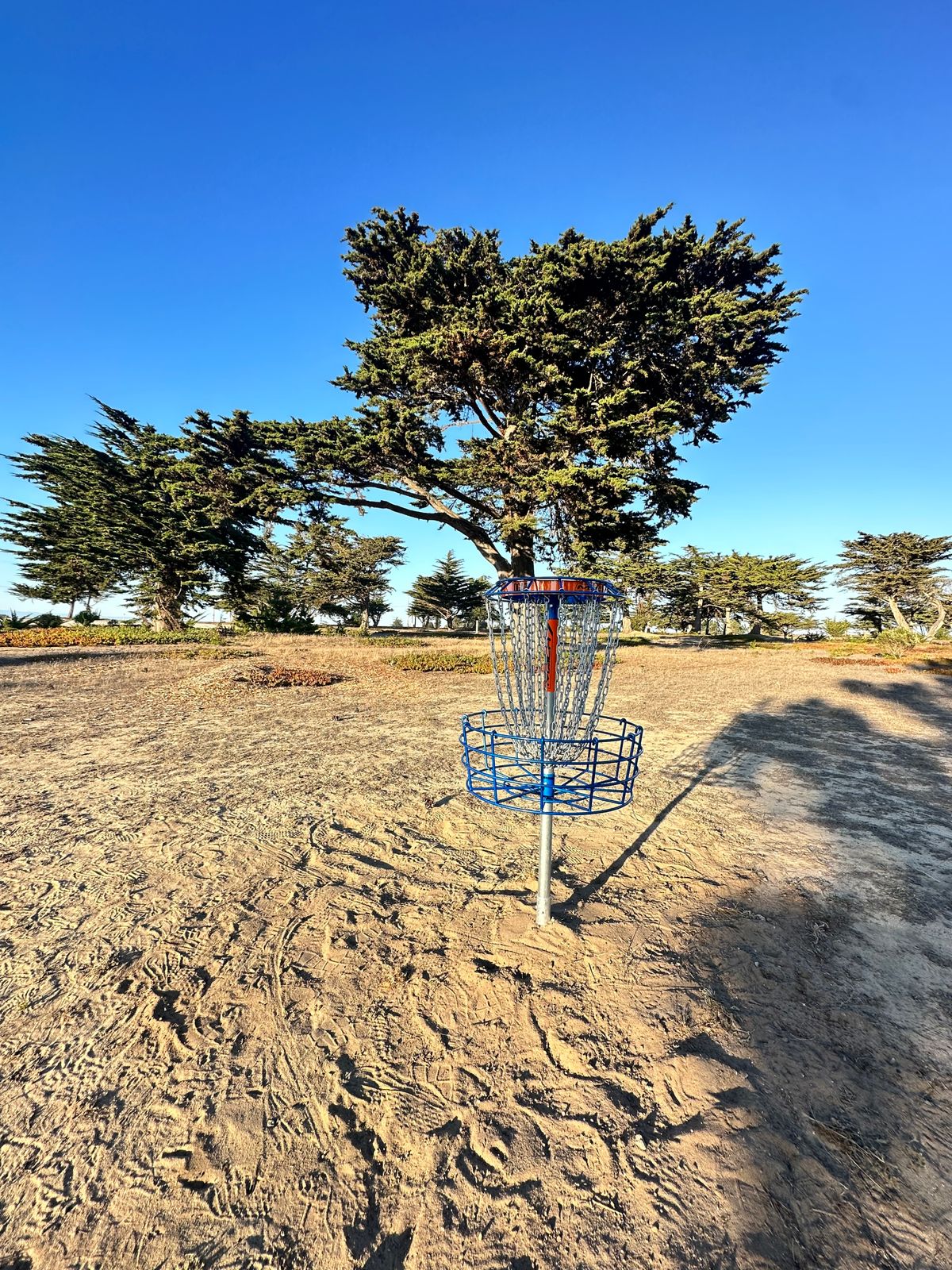 Hole 18's new basket and pin location.
