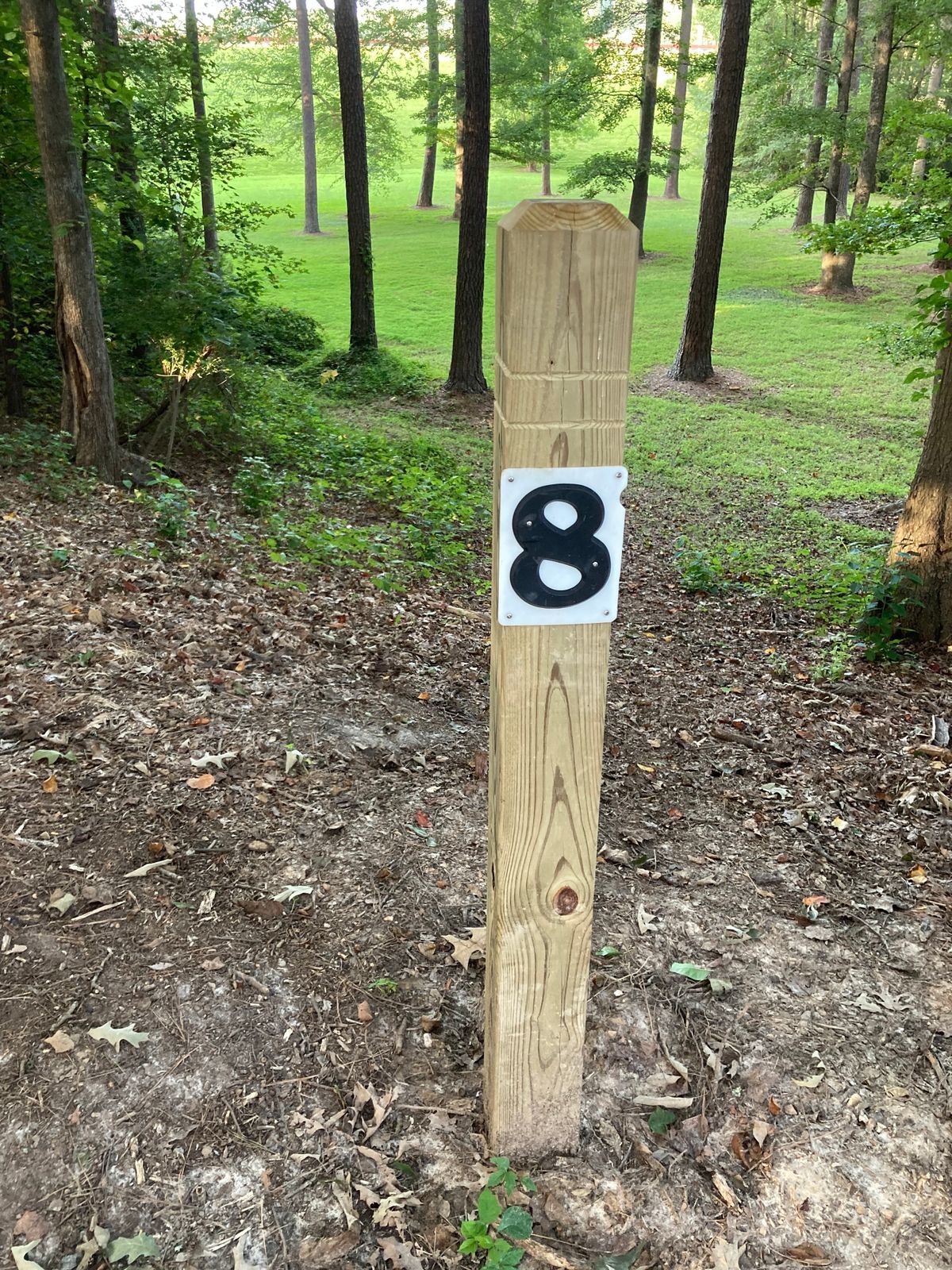 Hole 8- tight downhill Hyzer shot.