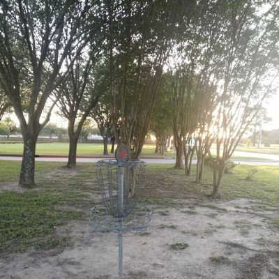 Hole 4 basket