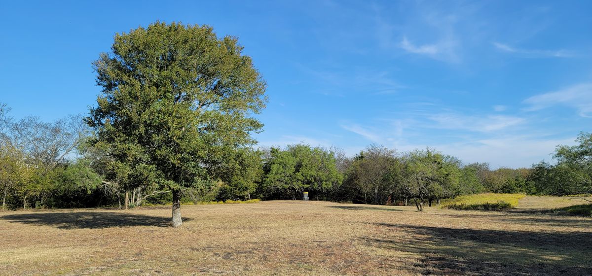Hole 11 basket