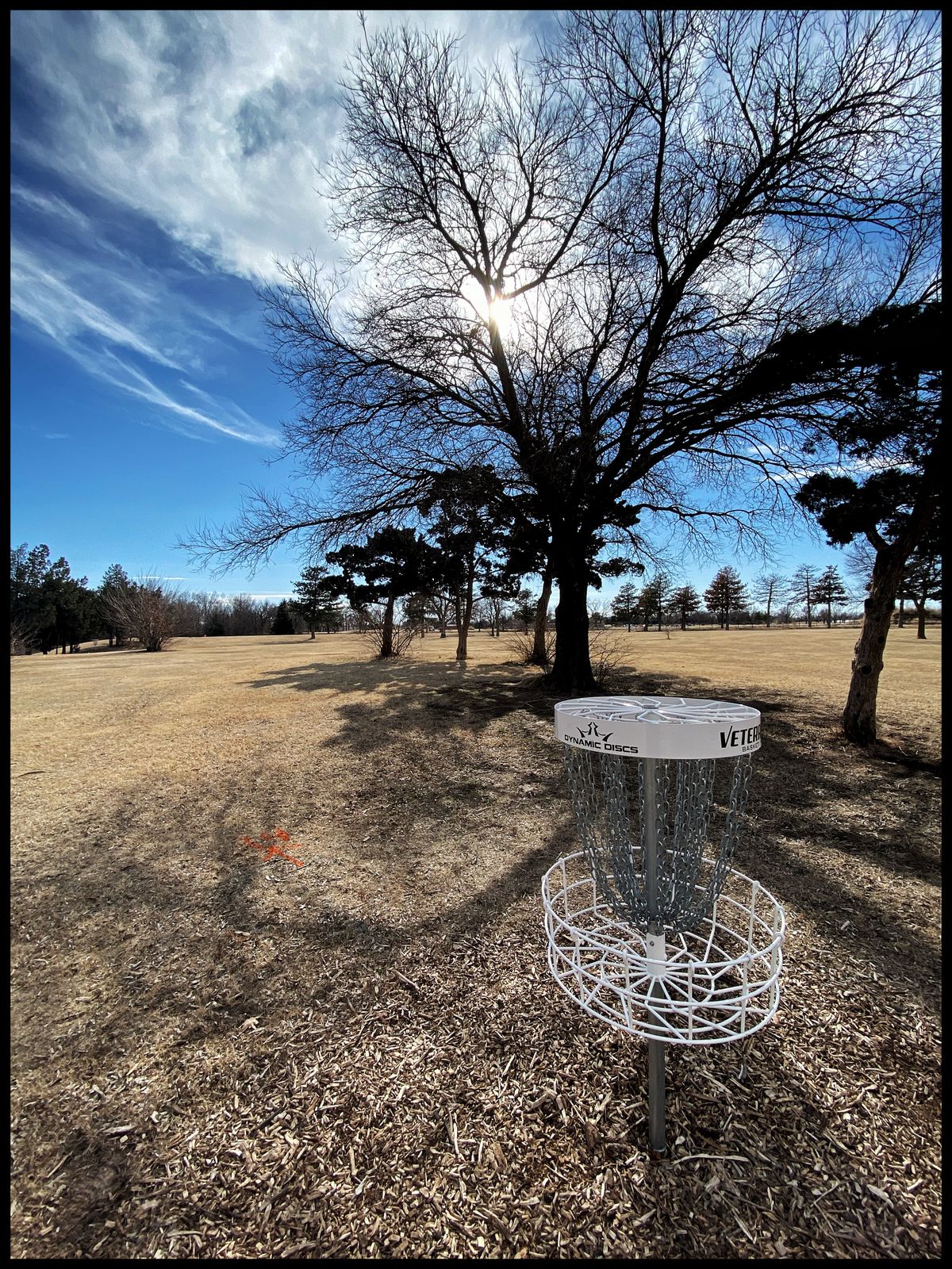 #13 green looking back at Tee