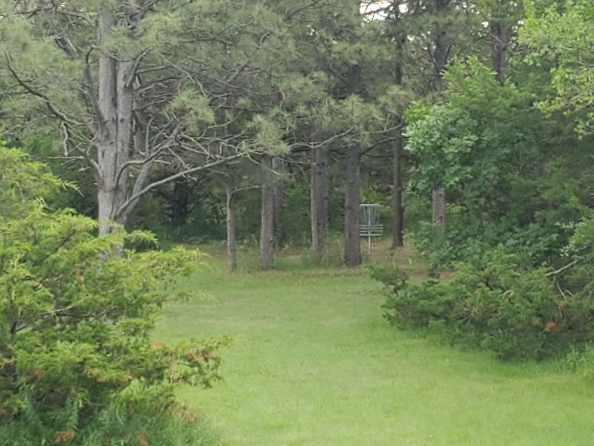 Hole 9 basket