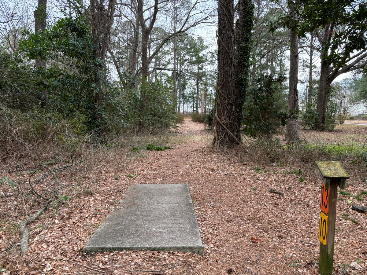Hole 13 shorts