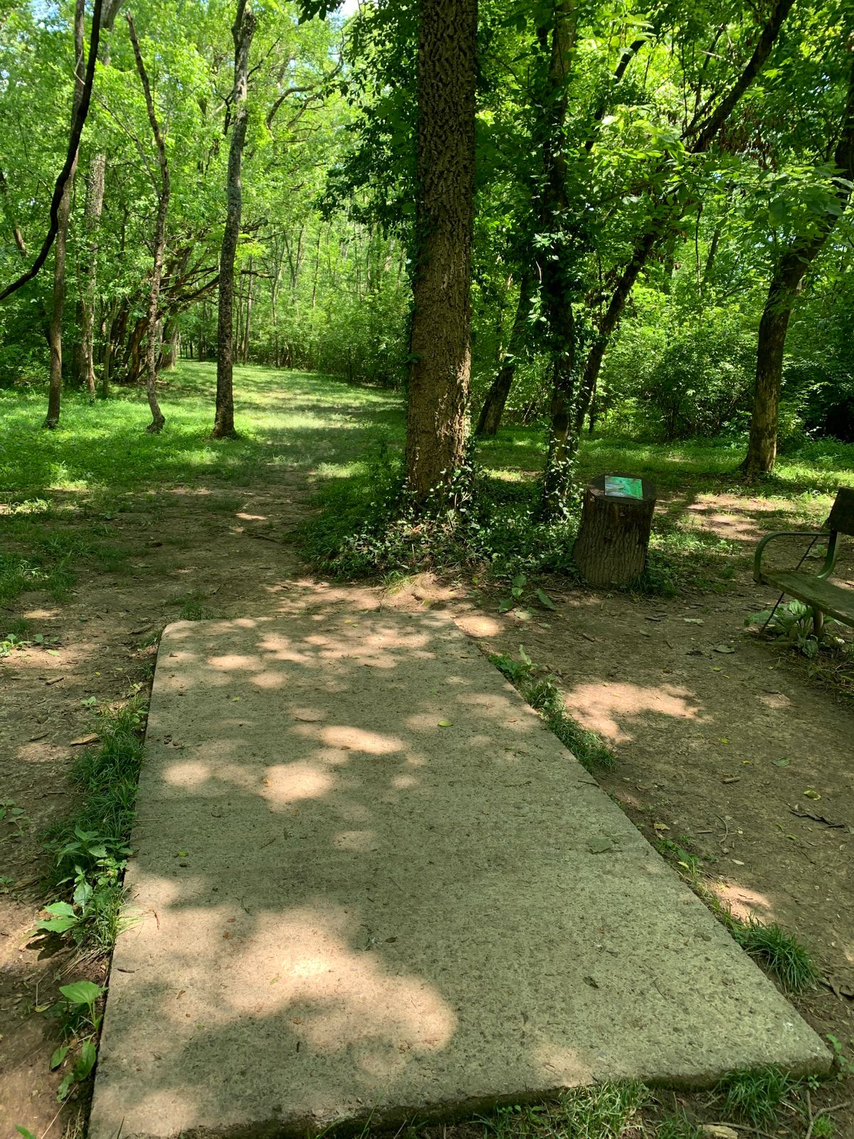 Hole 4