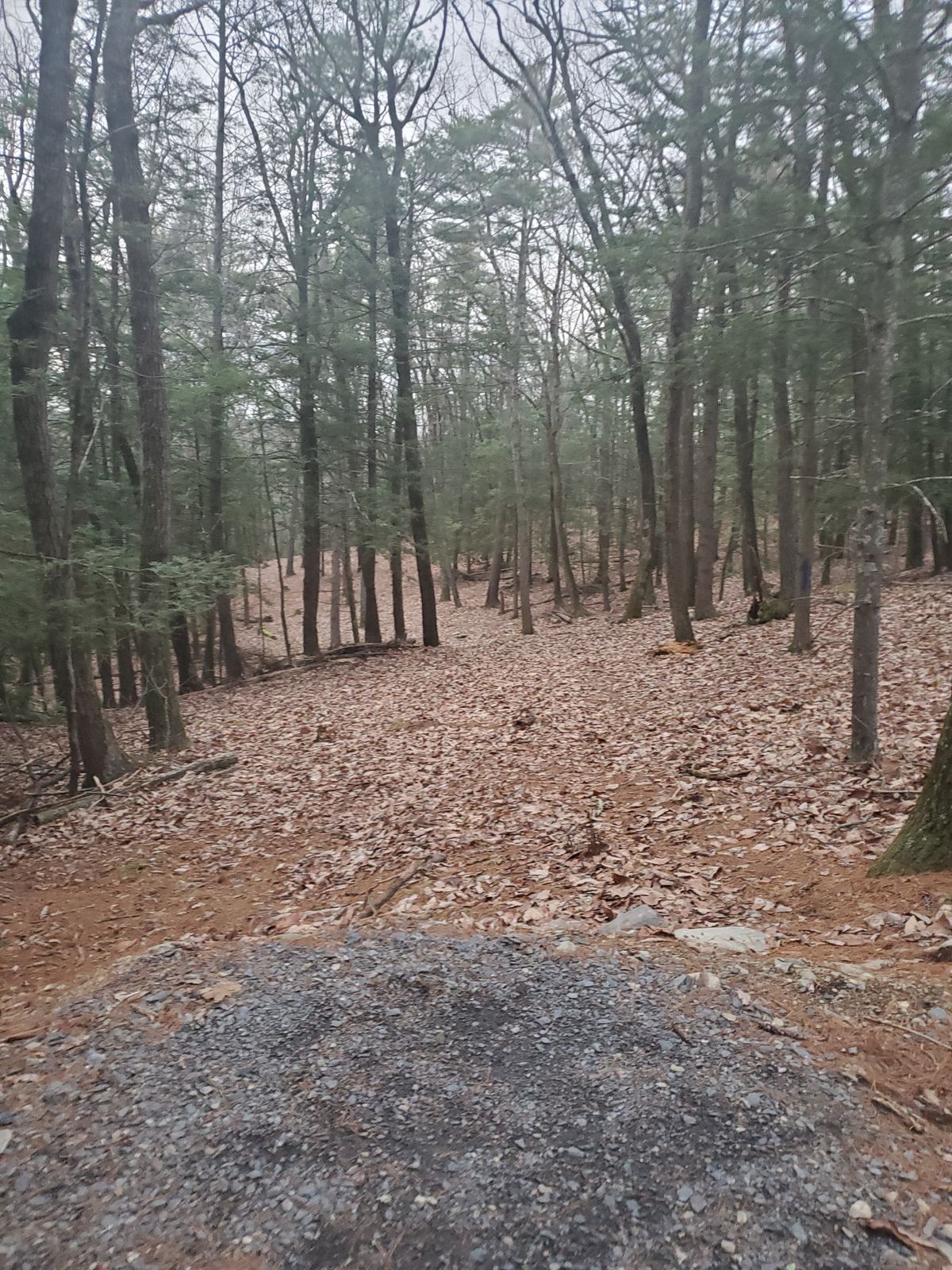Hole 10