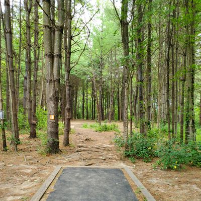 Hole 1 is typical of the front 9 holes.