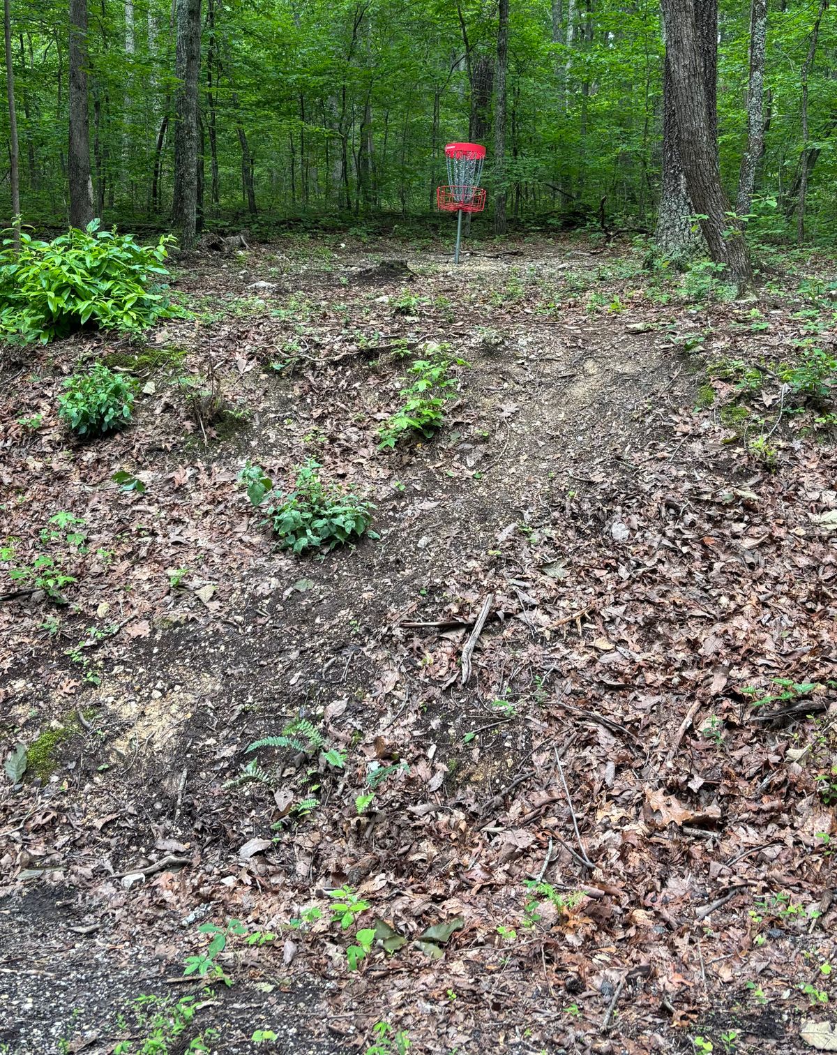 Hole #13 Approach