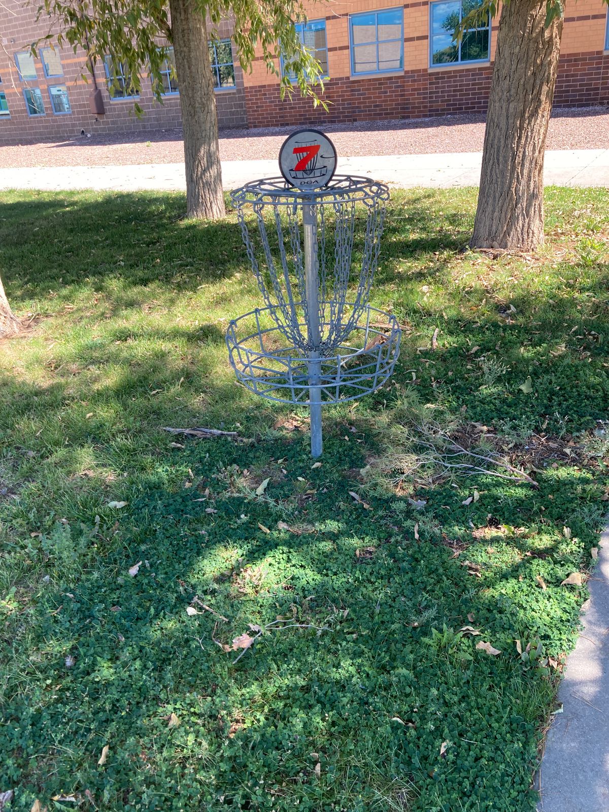 Best basket on course