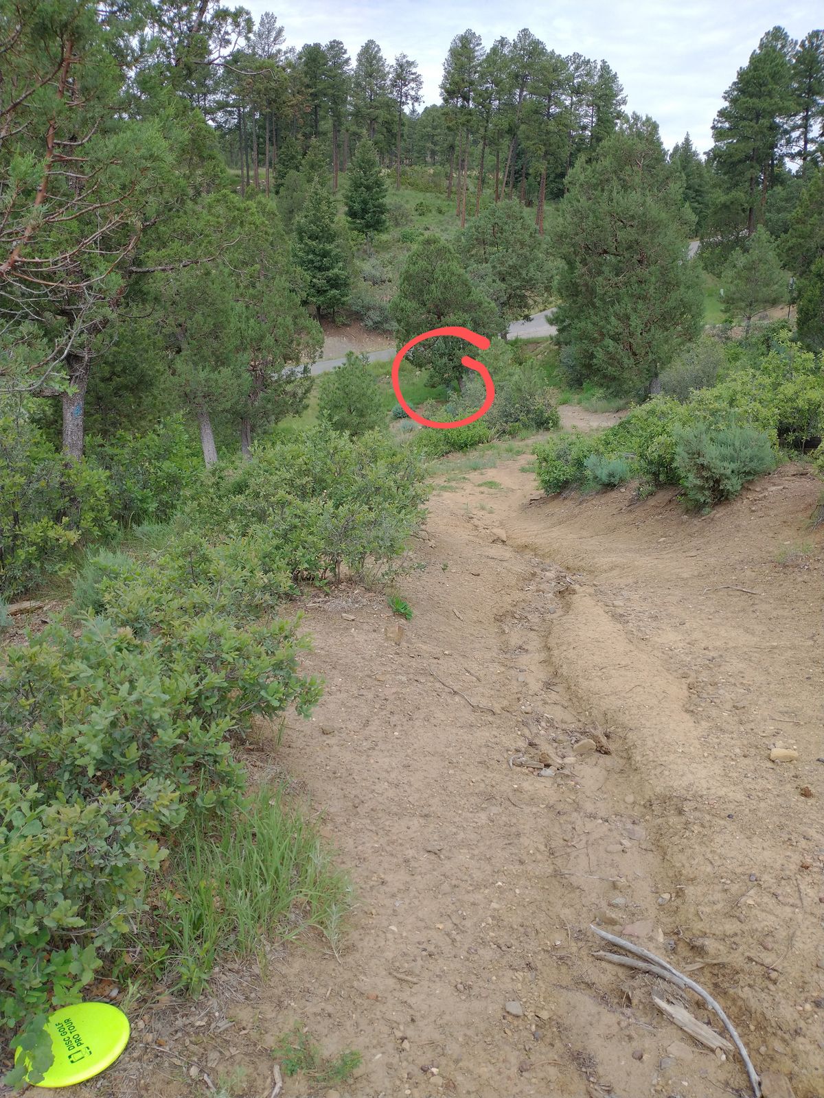 17 approach down the path.
