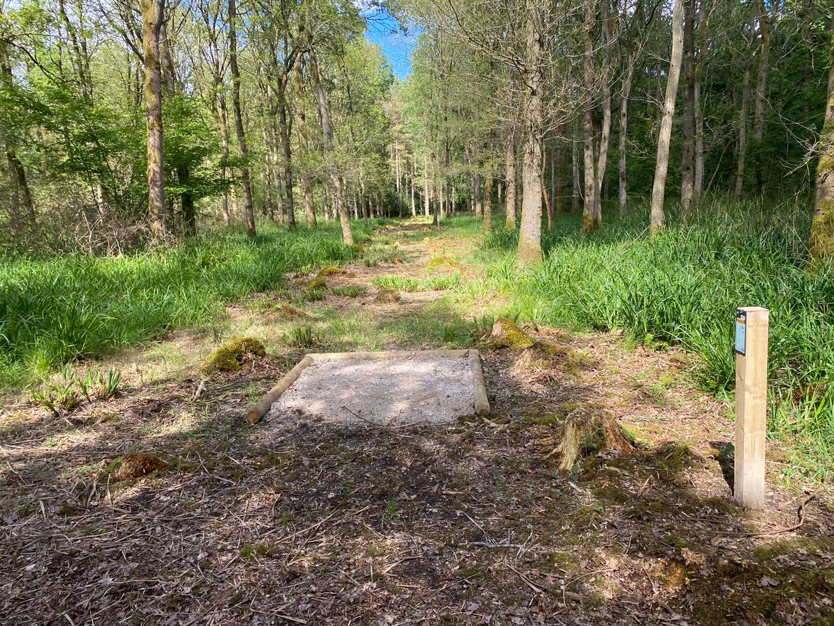 Hole 8 - Long
