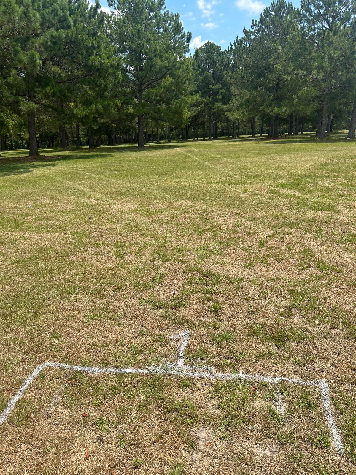 Hole 1 tee pad