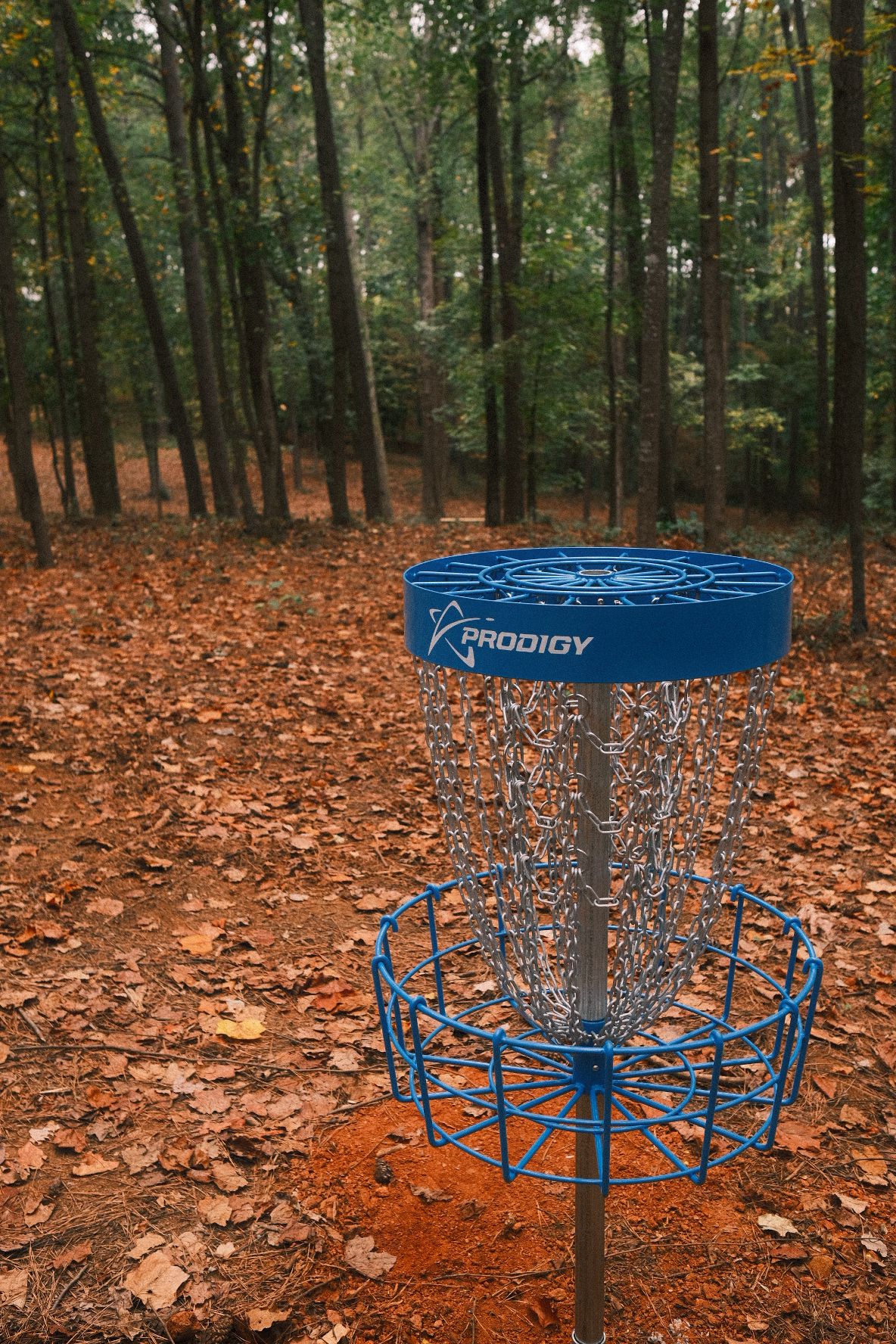 #4 basket looking at tee