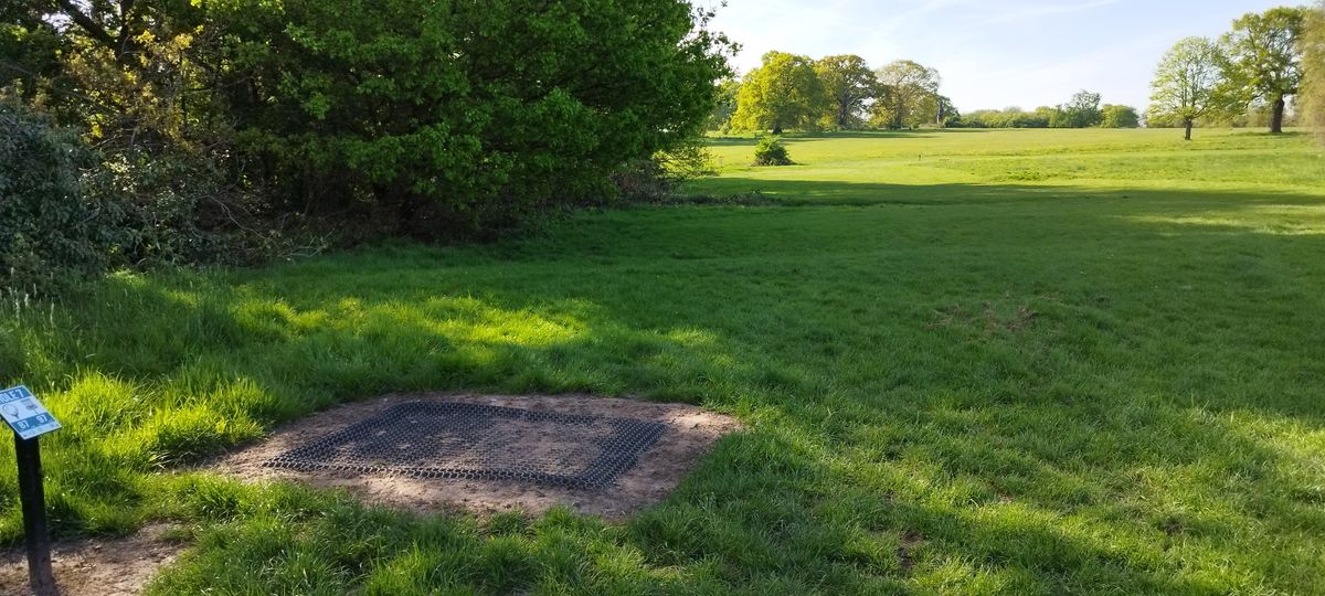 Hole 7
