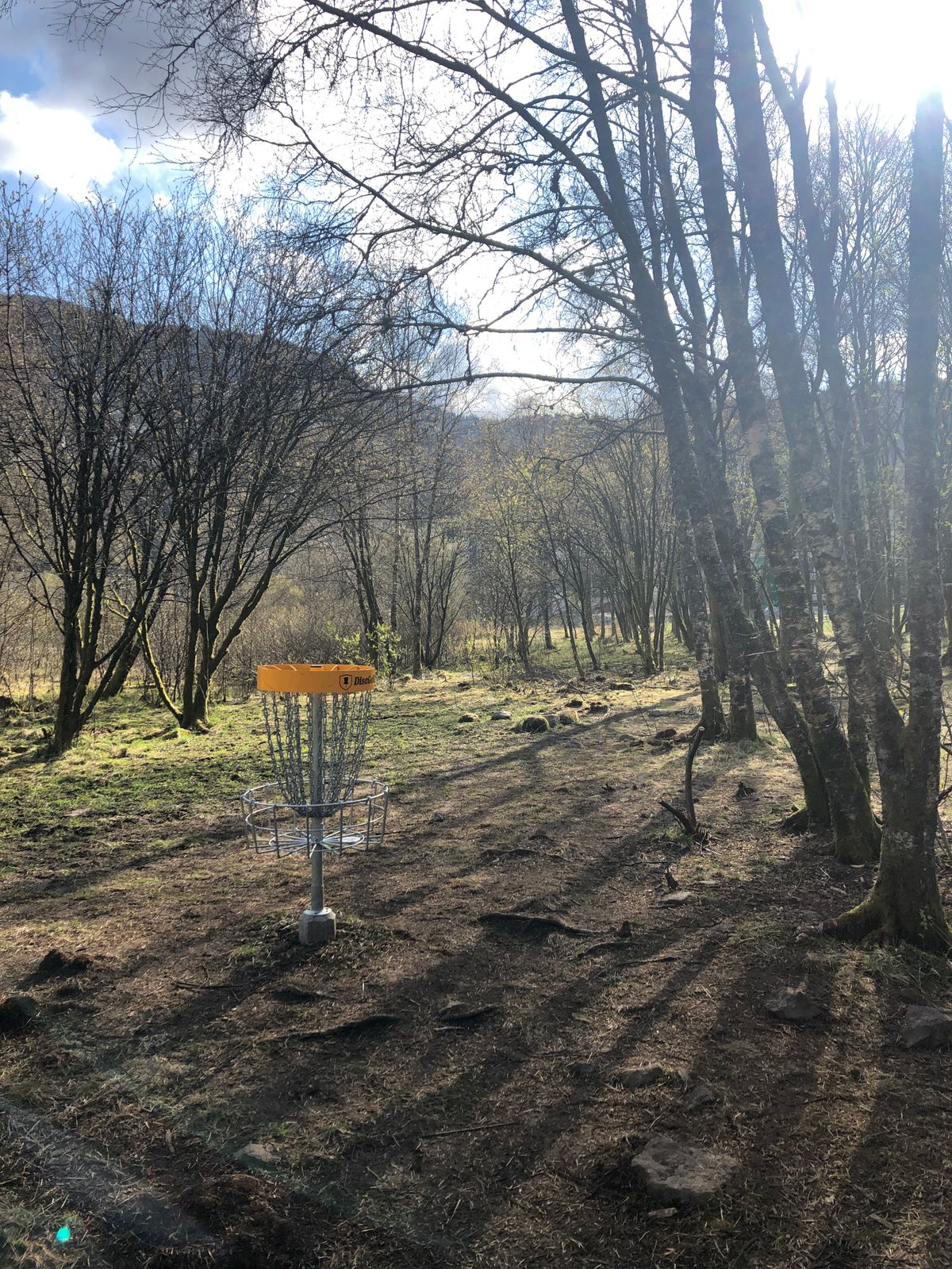 The basket on Hole 5.