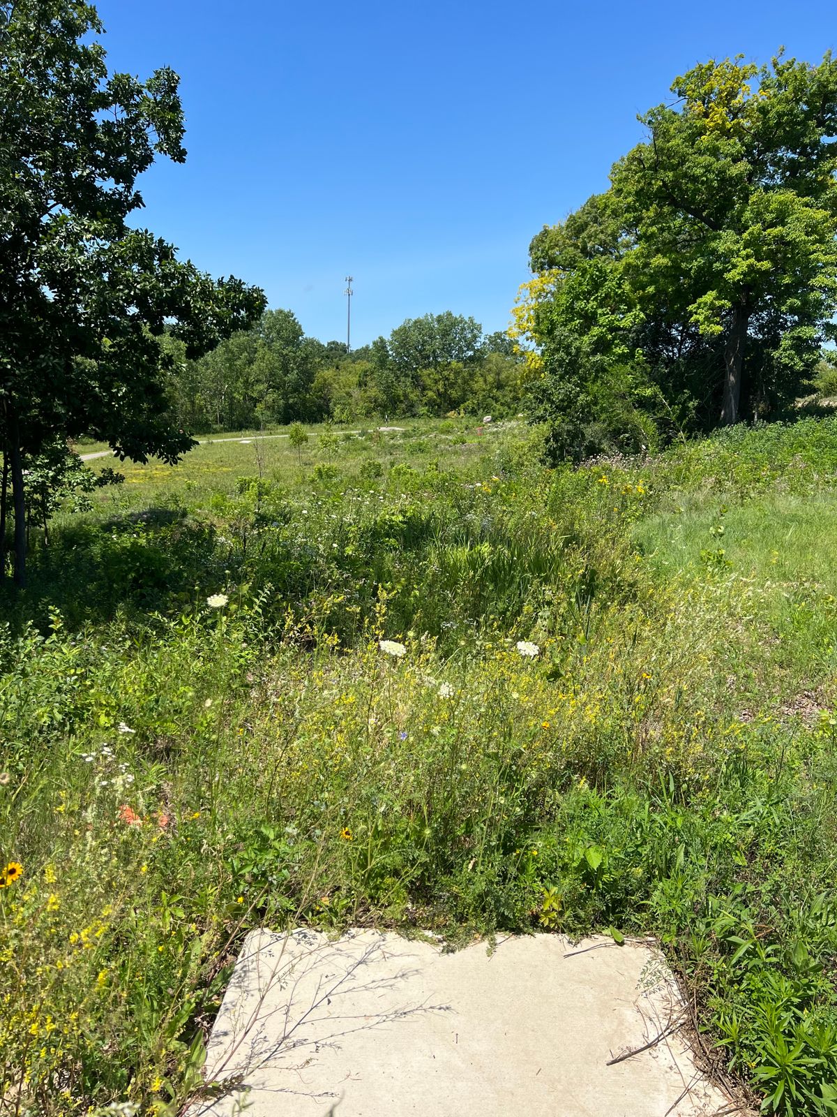 Tee 4