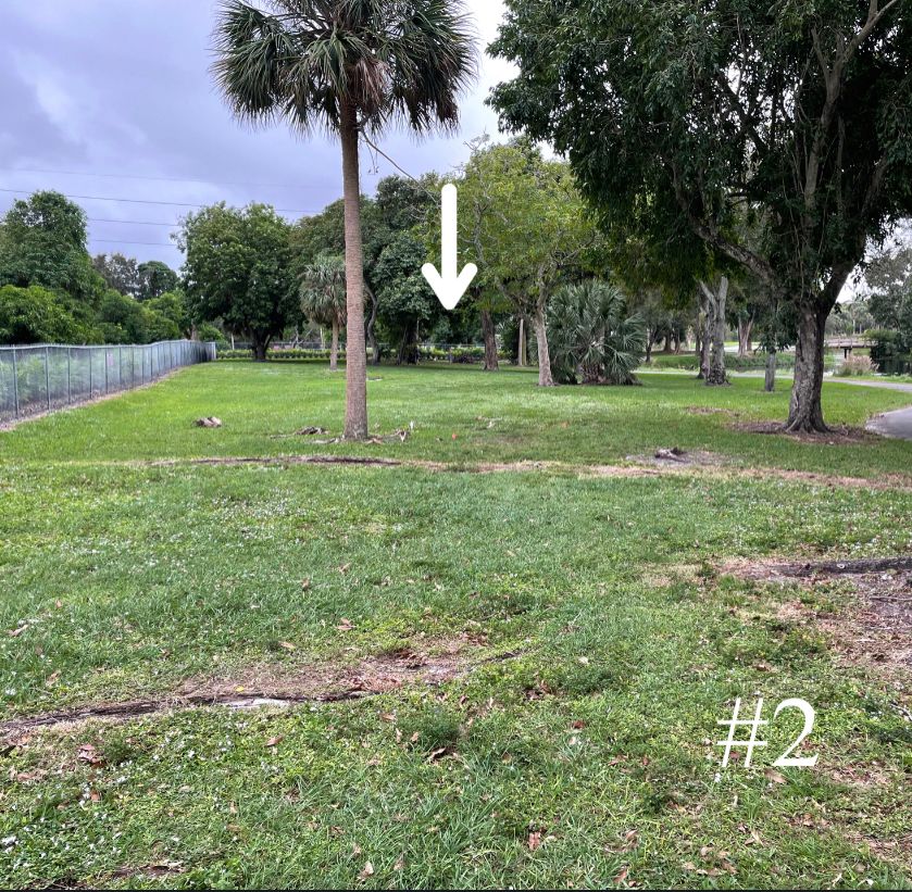 Hole 2, Long Tee