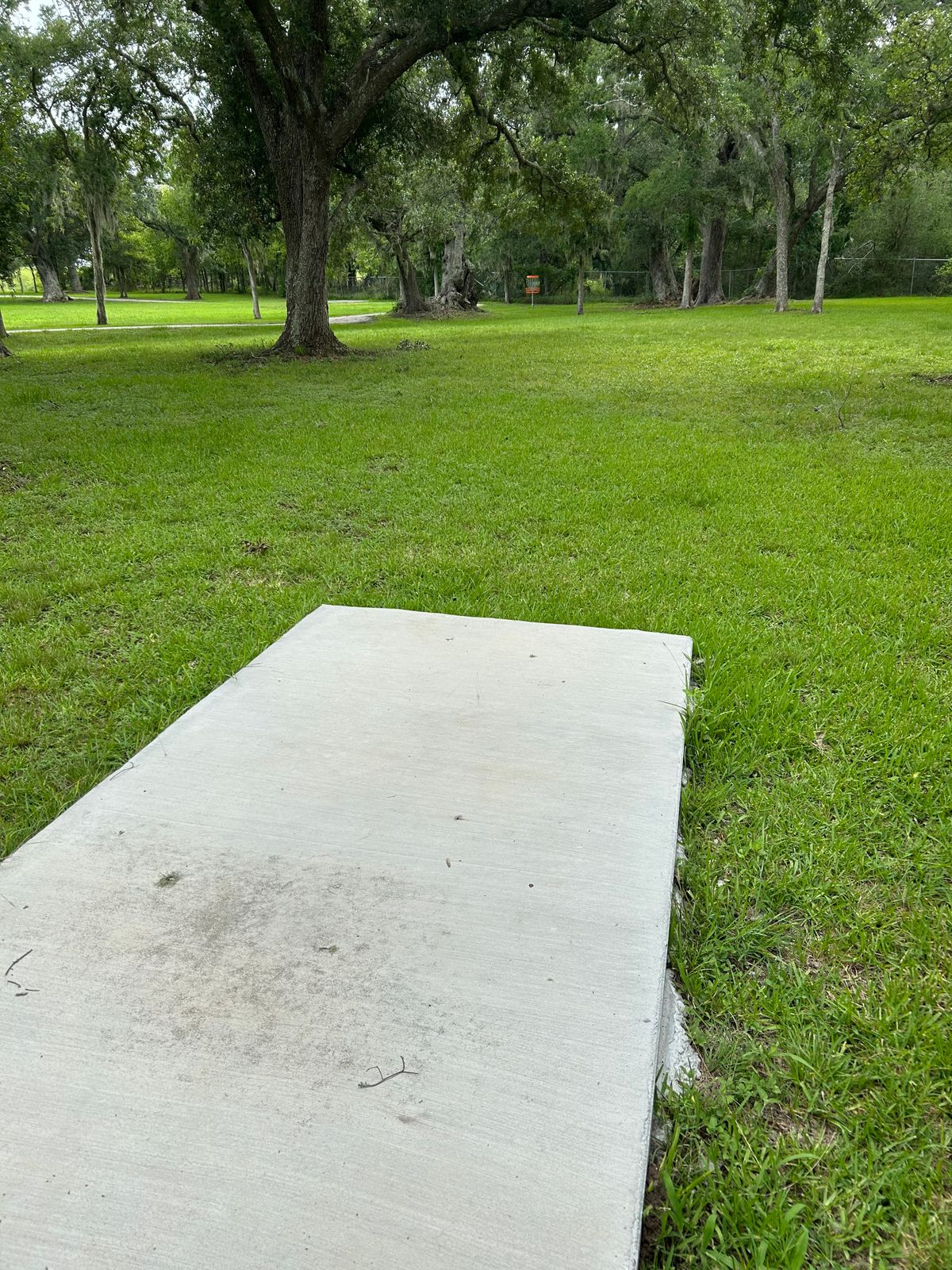 Hole 6