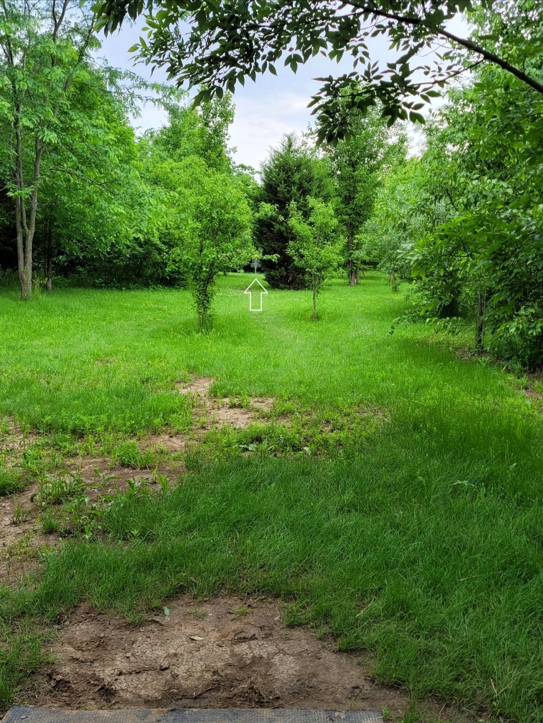 Hole 17 tee