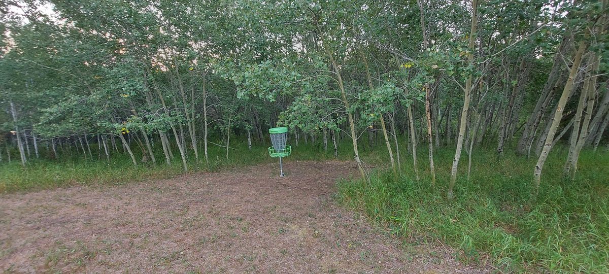 Upshot on hole 6 🌴🌳🌴🌳