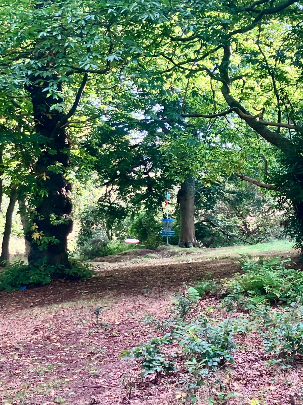 Hole 10 approach