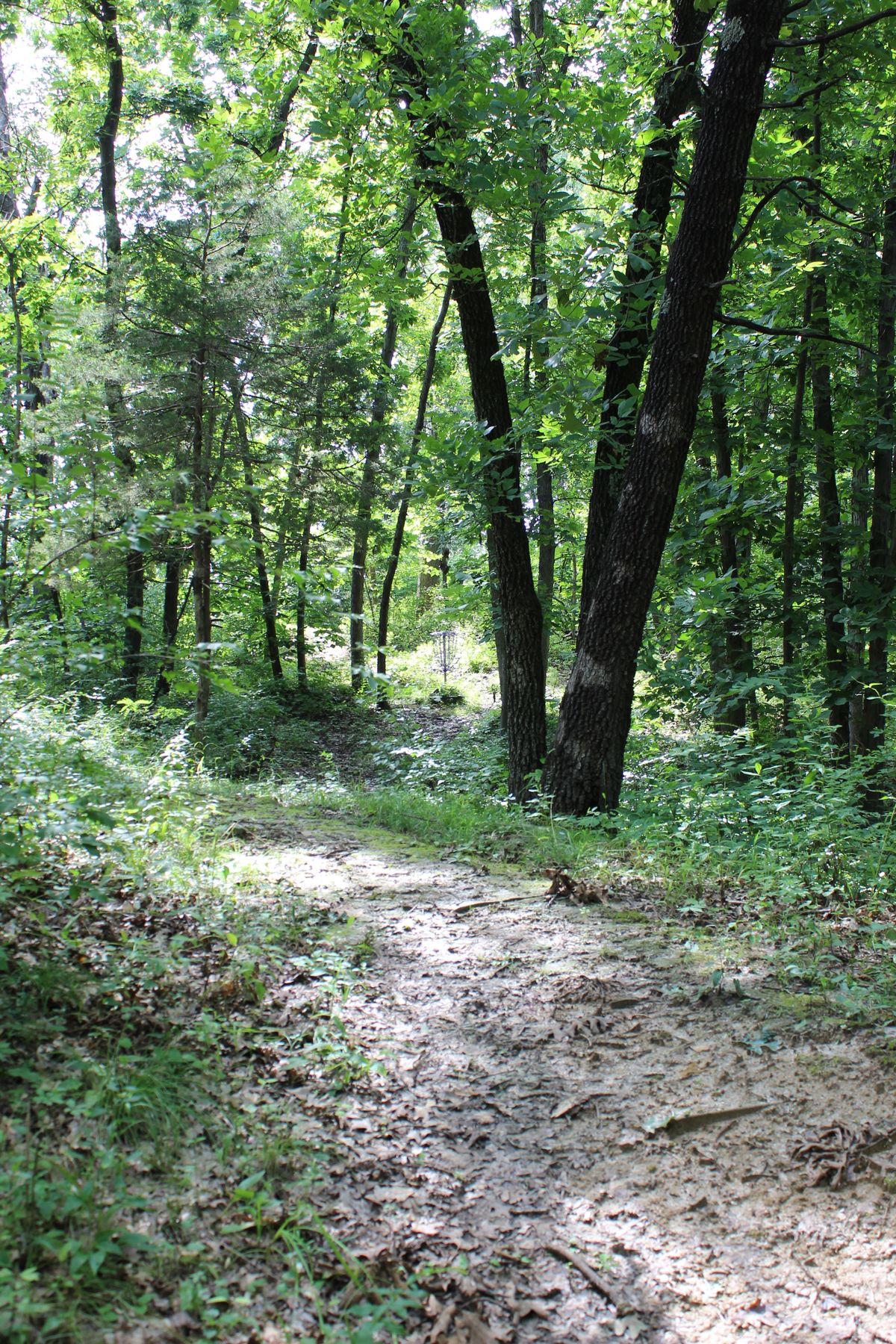 Hole 13 (Basket)