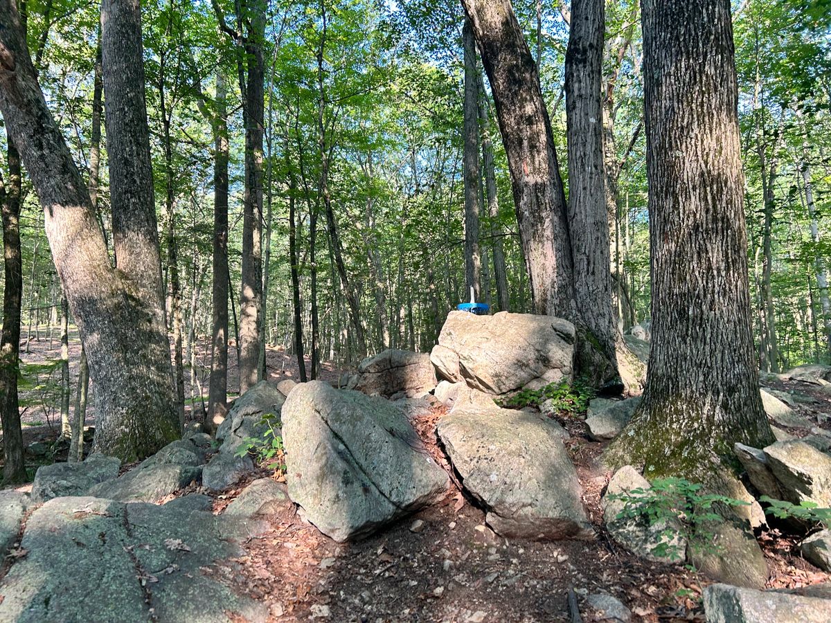 Hole 7's basket