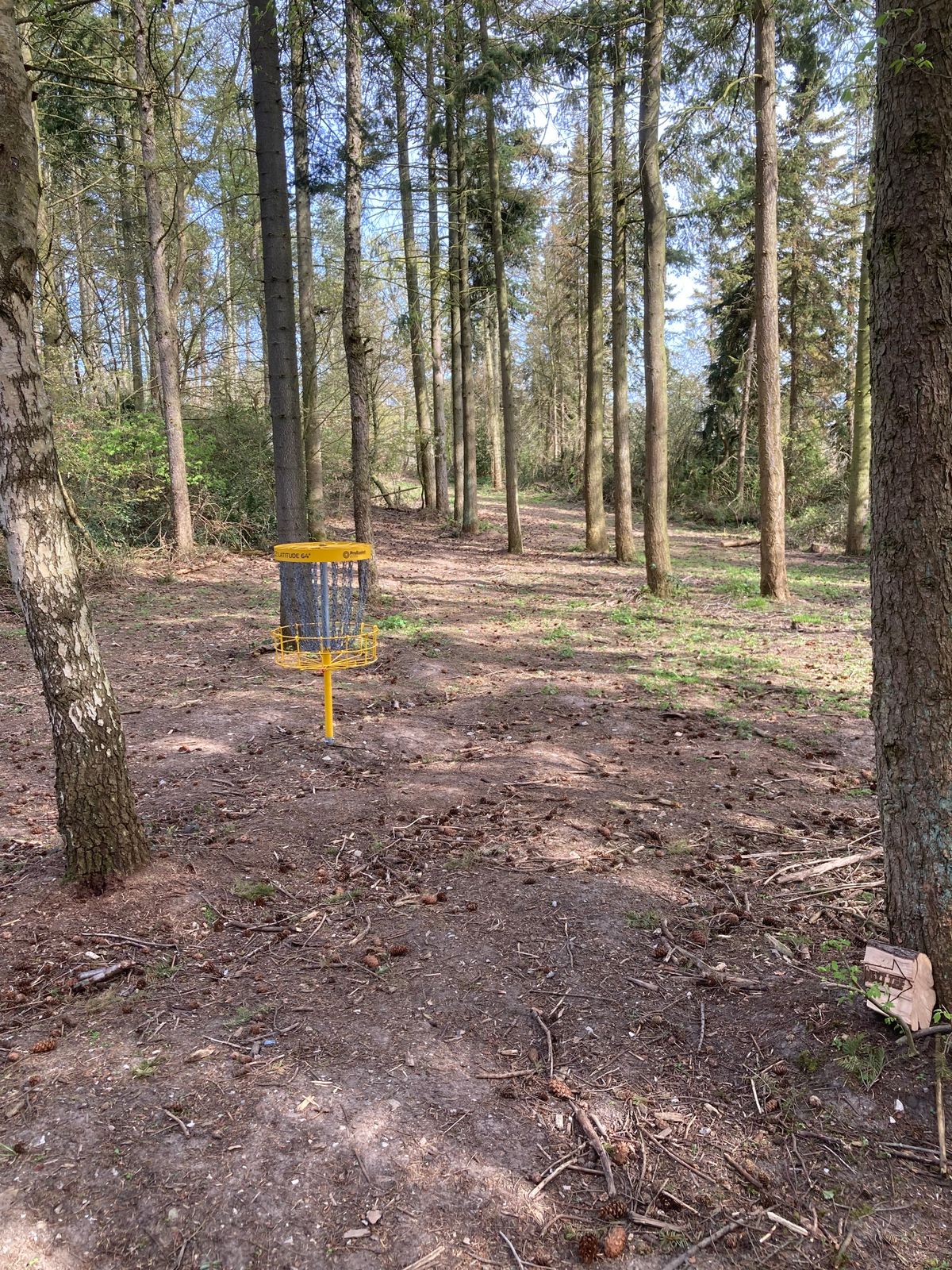 Old basket placement (par 3)