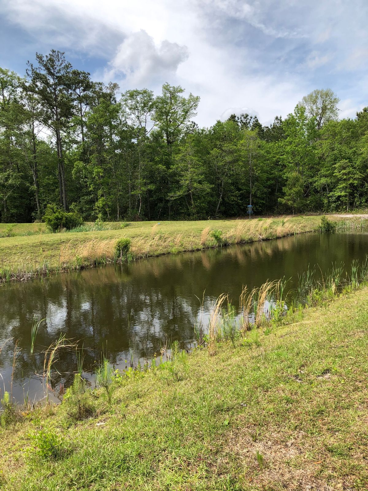 Hole 5 as seen from the alternate tee pad on Hole 6
