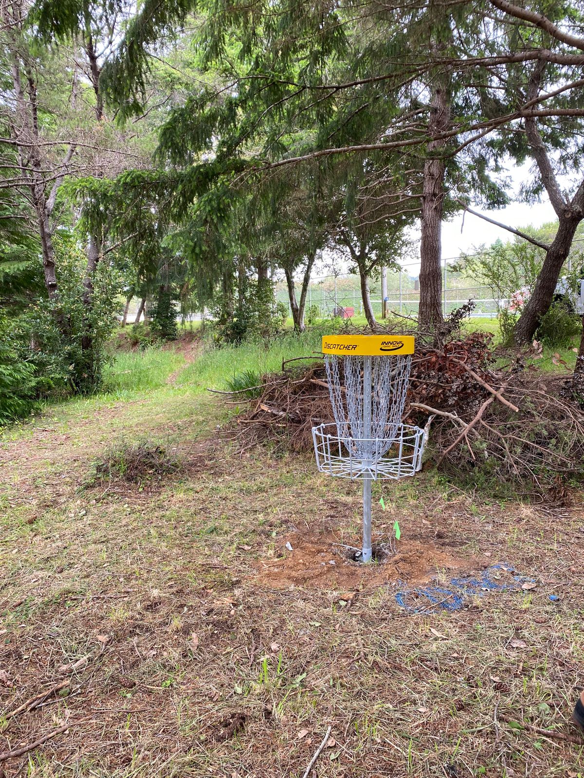 Hole 9 Basket