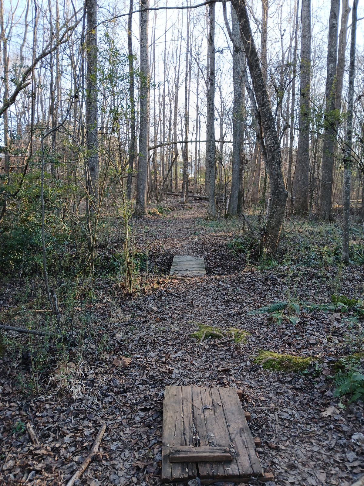 11, basket on the right