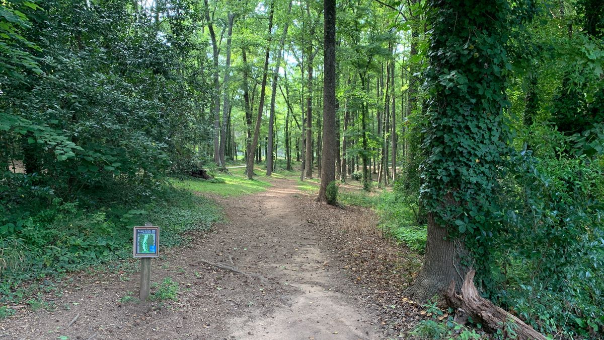 Hole 8