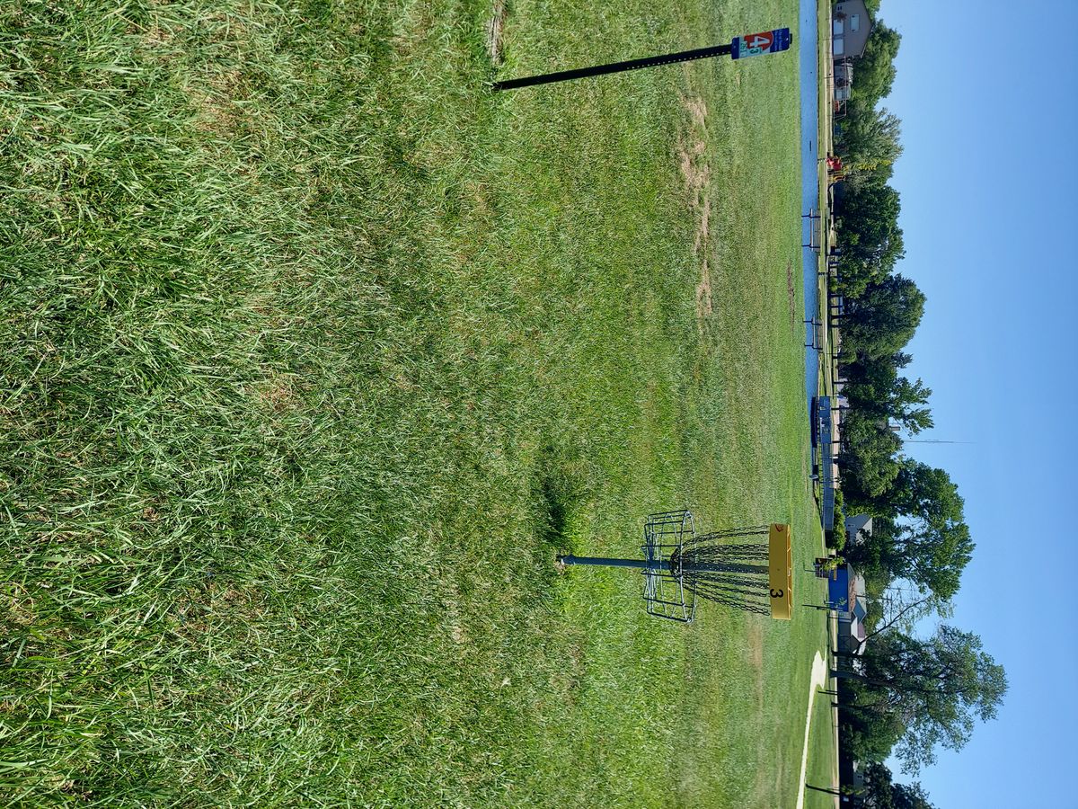 Hole 3 basket