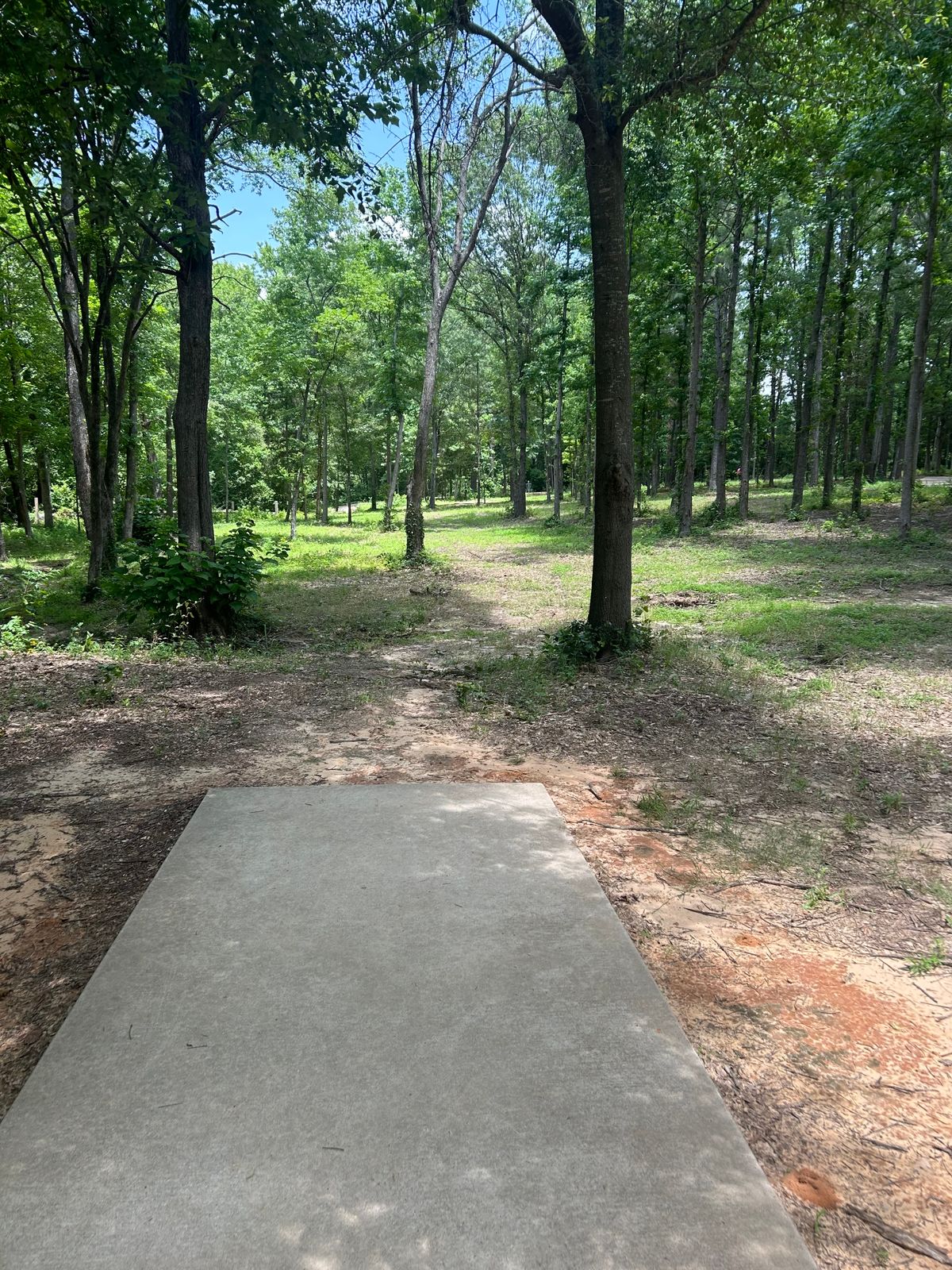 Hole 5