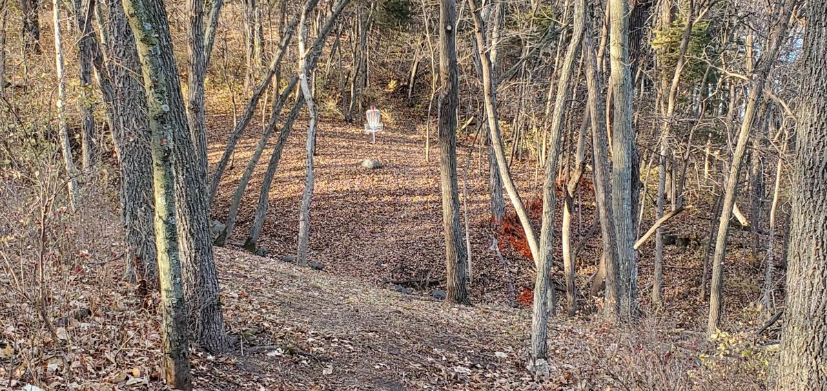 Hole No. 5 Tee View