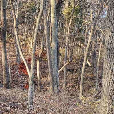 Hole No. 5 Tee View