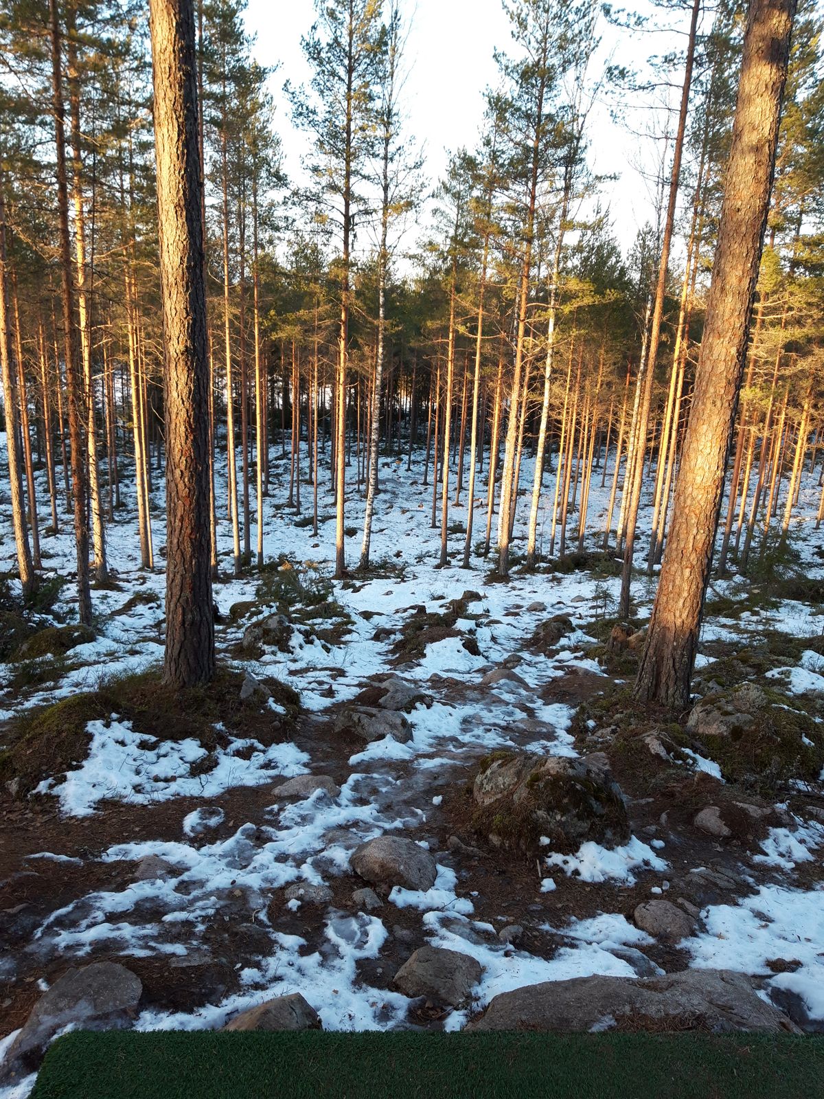 Väylä 15 88m