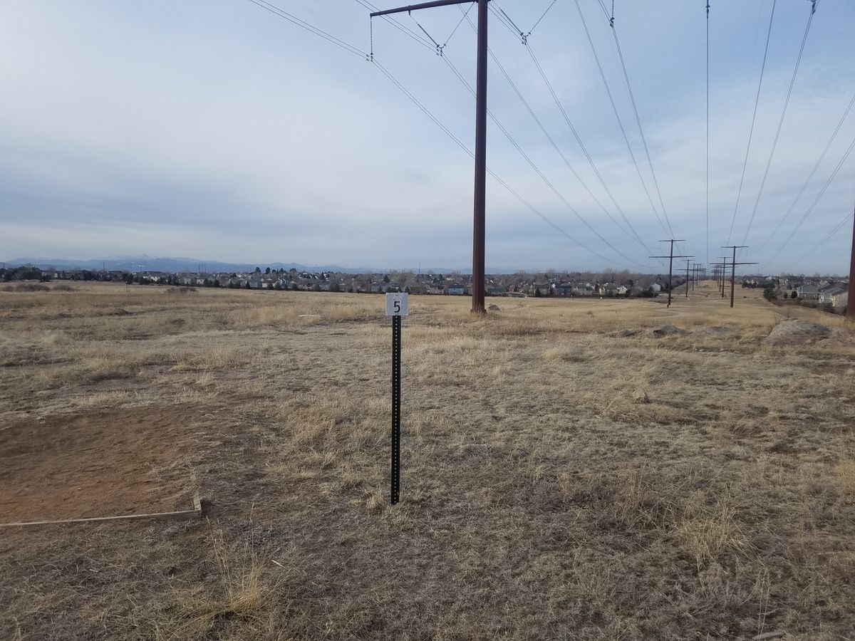 Hole 3, Basket sits just to the right of the telephone pole.
