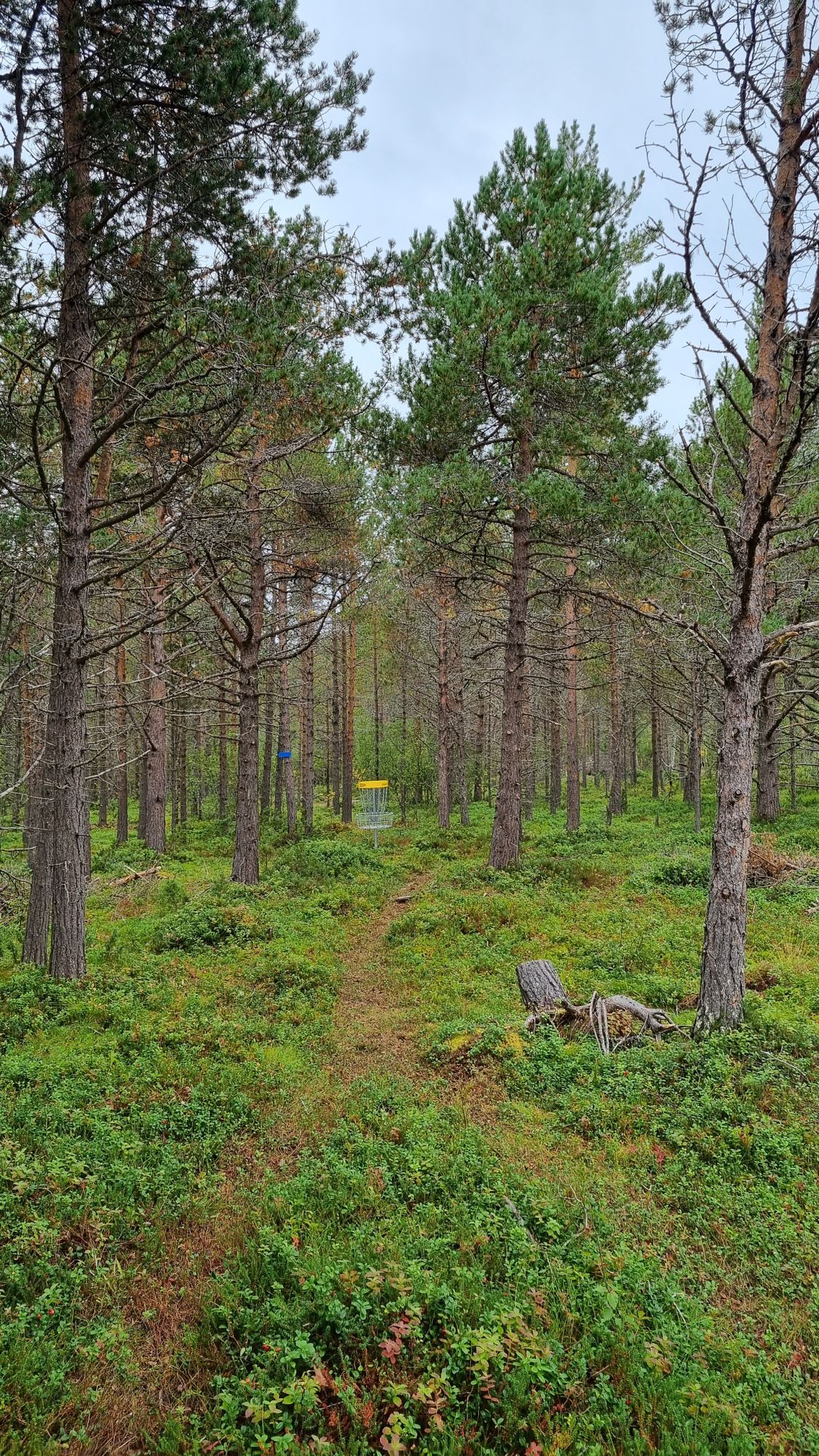 Hole 13
