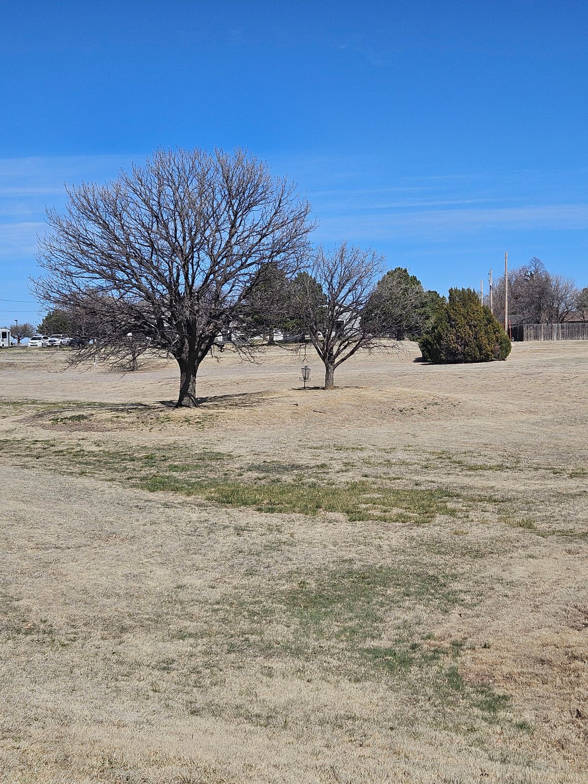 #5 fairway