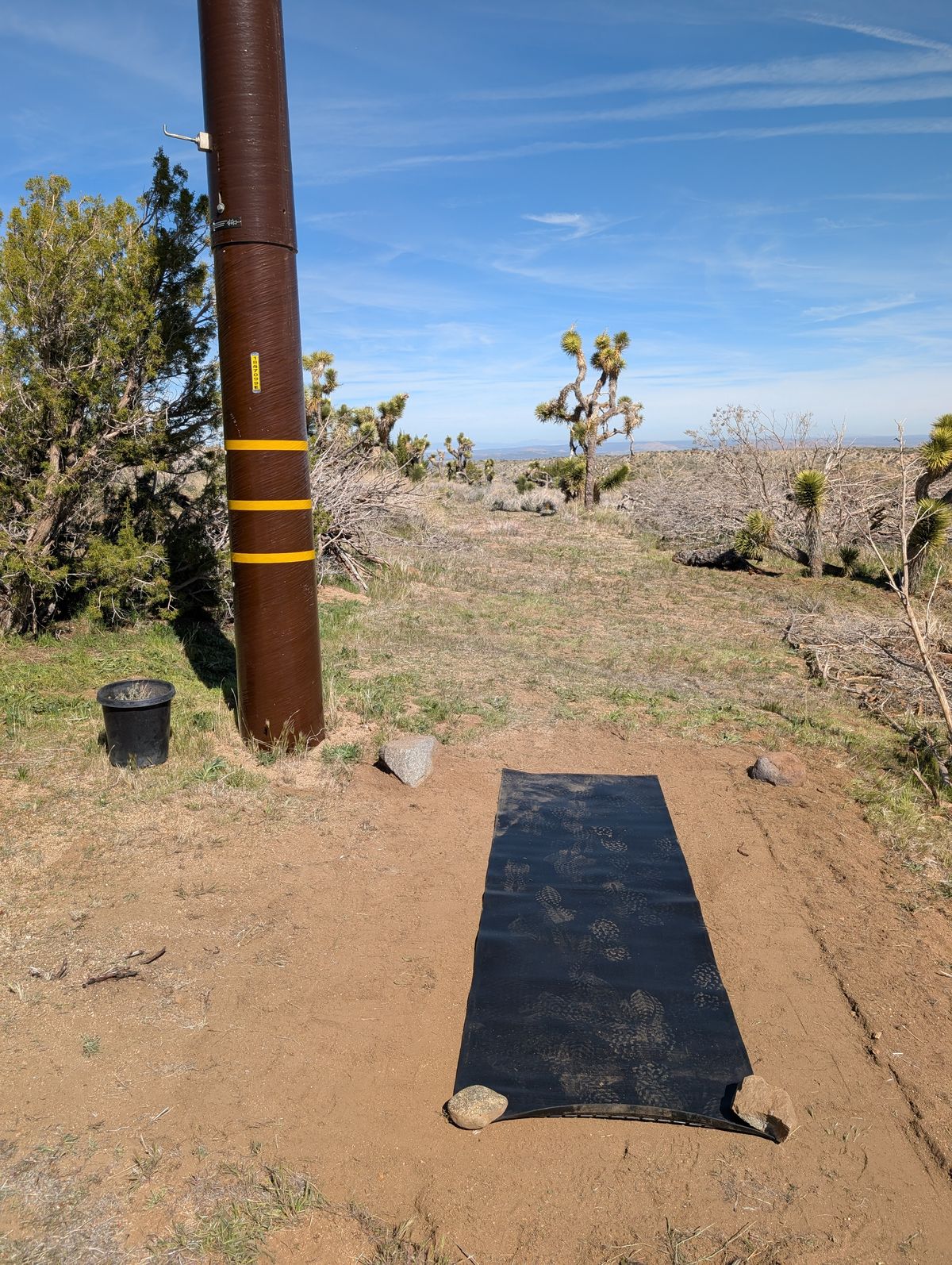 Hole 1 tee pad near front gate
