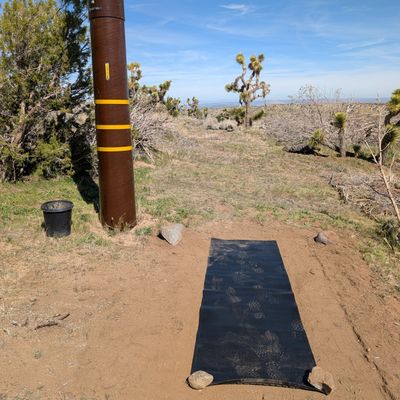 Hole 1 tee pad near front gate