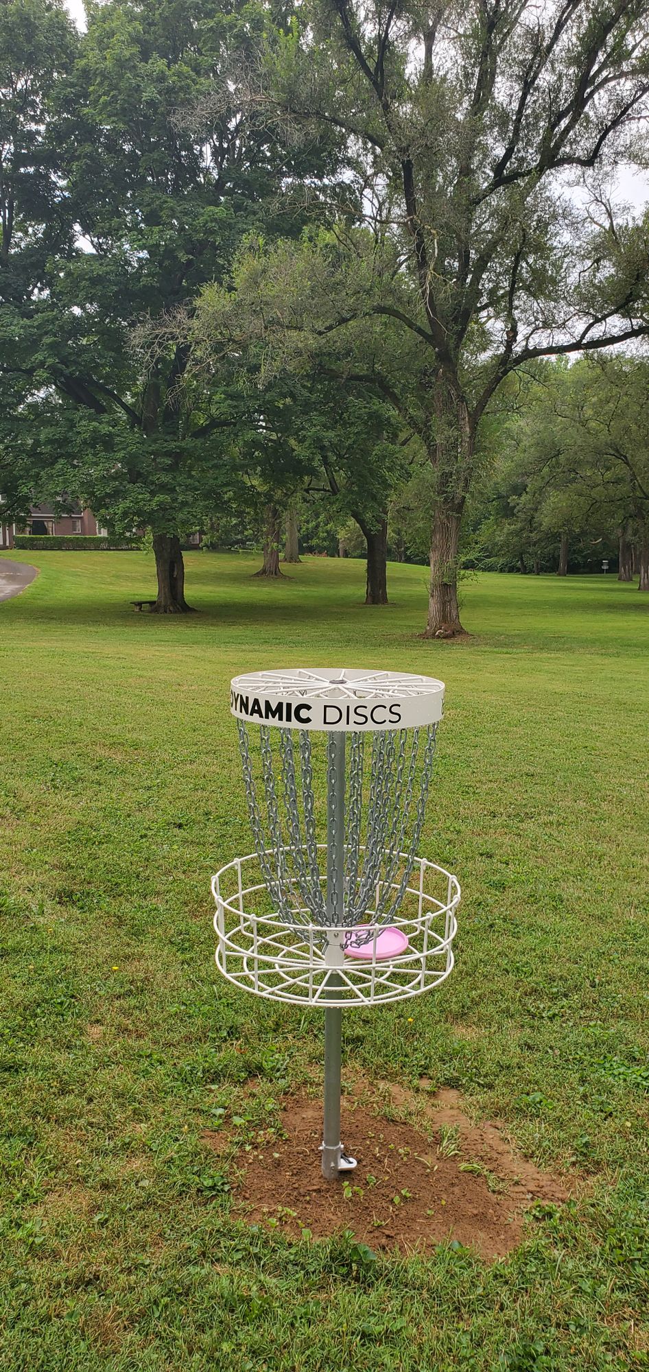 Hole 8 basket looking back at tee