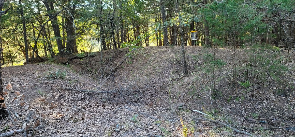 Hole 3 rough