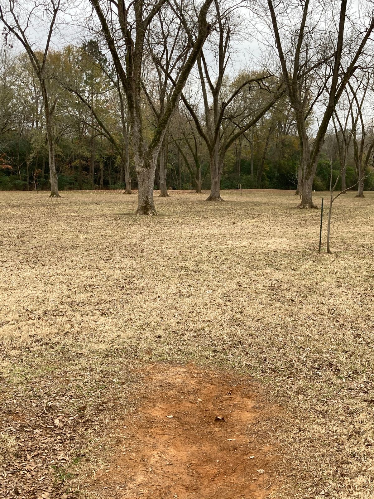 Hole 7