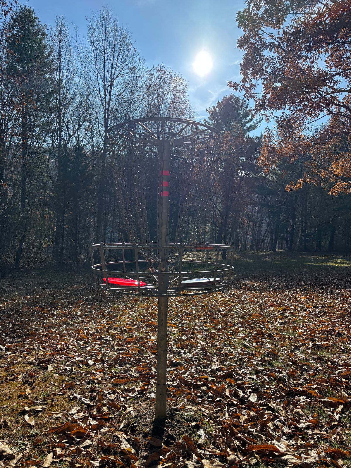 #12 basket looking towards the tee.